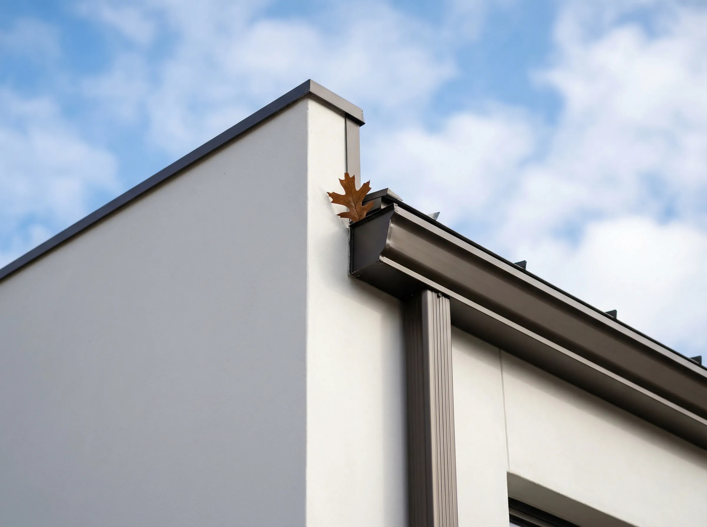 Leaf resting in an aluminum roofline gutter, closeup