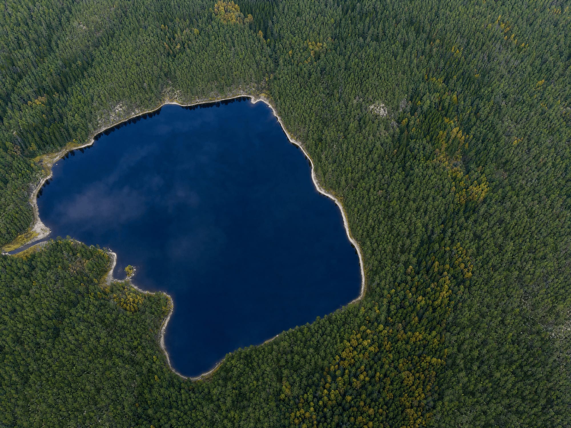 Aerial view of a lake and surrounding nature