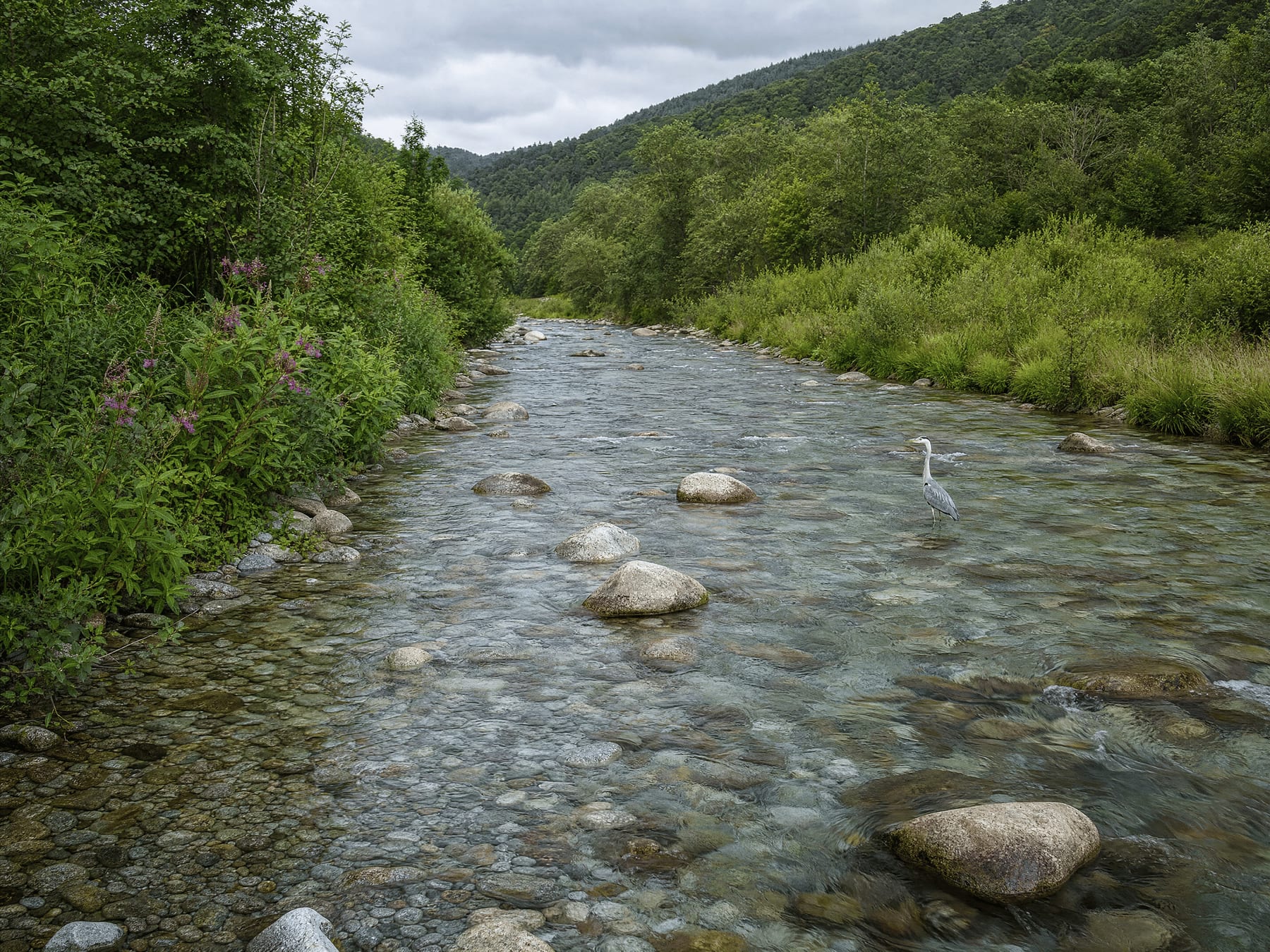 River winding through a green landscape